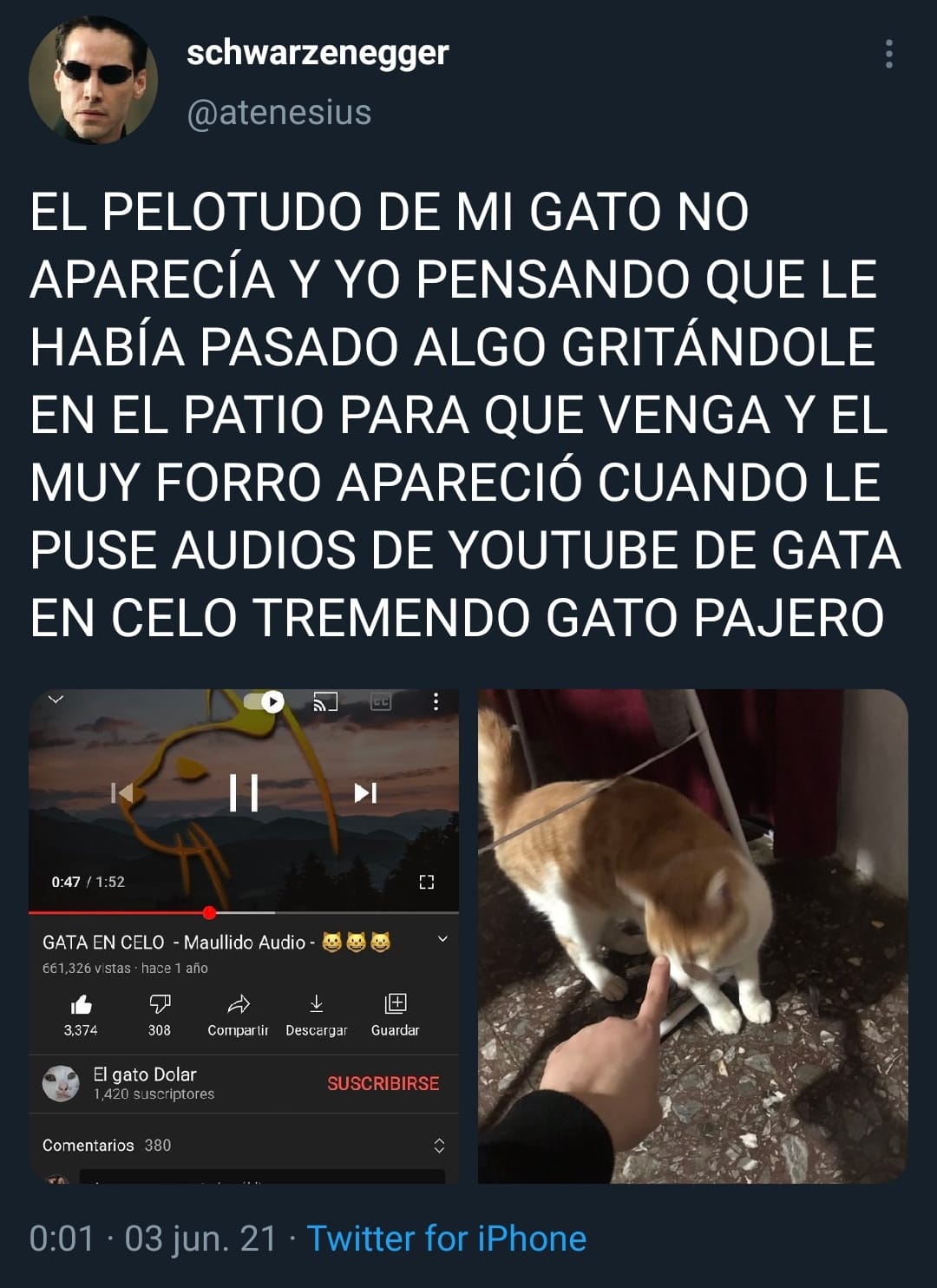 ...